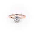 The Nelly Set With A 2.5 Carat Elongated Cushion Moissanite Online Sale