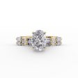 The Patricia Set With A 1.5 Carat Oval Lab Diamond Cheap