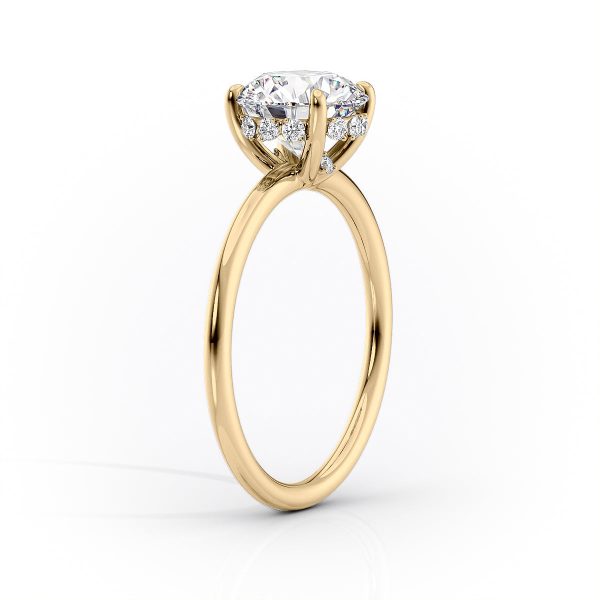 The Sandra Set With A 2.5 Carat Oval Lab Diamond Online Hot Sale