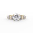 The Patricia Set With A 1 Carat Round Lab Diamond For Discount