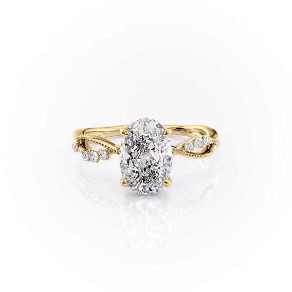 The Daisy Set With A 2.5 Carat Oval Lab Diamond Hot on Sale